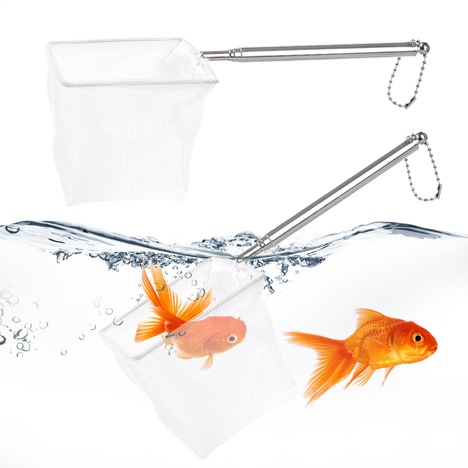 Landing Net Telescopic - Lot de 2 Petits Épuisettes à
